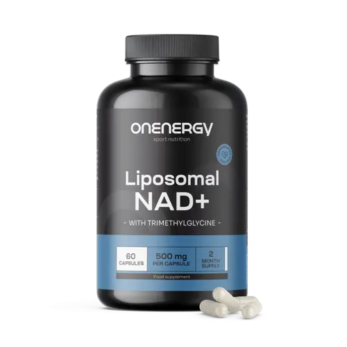 Liposomales NAD+ 500 mg – mit Trimethylglycin , 60 Kapseln