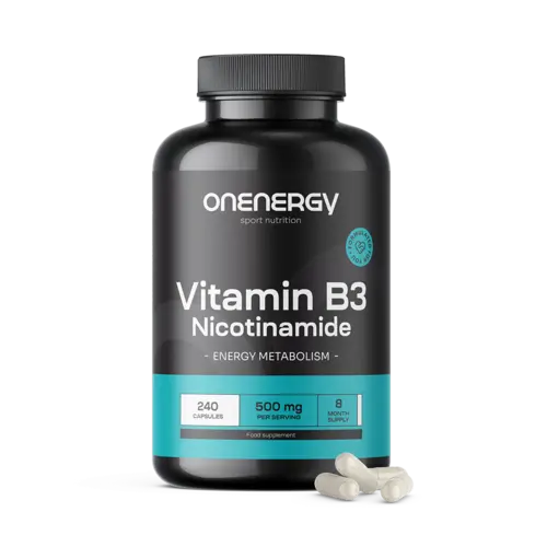 Vitamin B3 500 mg - Nikotinamid, 240 Kapseln
