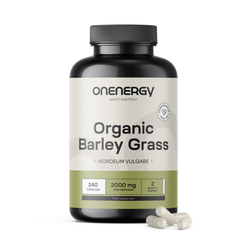 BIO Gerstengras 2000 mg, 240 Kapseln