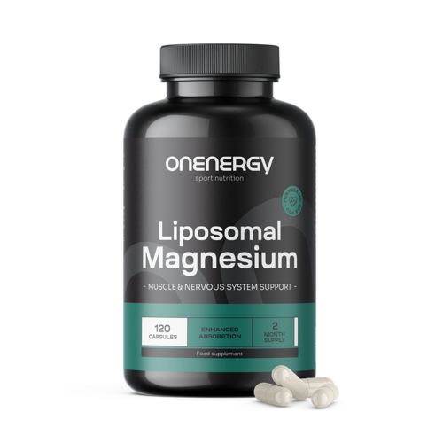 Liposomales Magnesium, 120 Kapseln